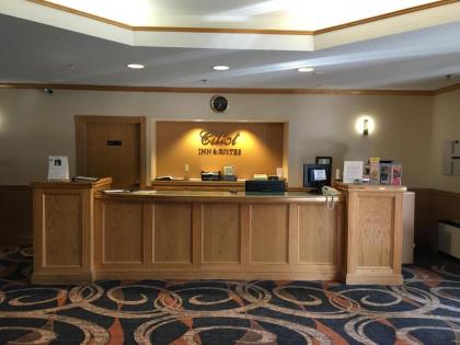 Cabot Inn & Suites - image 11