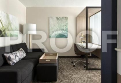 SpringHill Suites by Marriott Tampa Suncoast Parkway - image 13