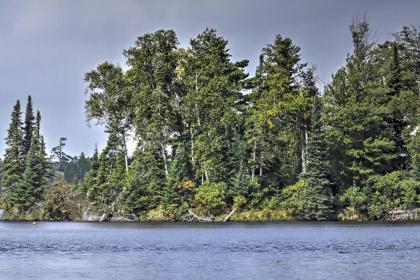 Land O Lakes Hideaway with Boat Dock and Lake Views! - image 12