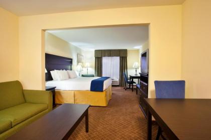 Holiday Inn Express Hotel & Suites Chicago South Lansing an IHG Hotel - image 14