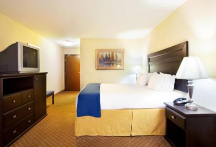 Holiday Inn Express Hotel & Suites Chicago South Lansing an IHG Hotel - image 7