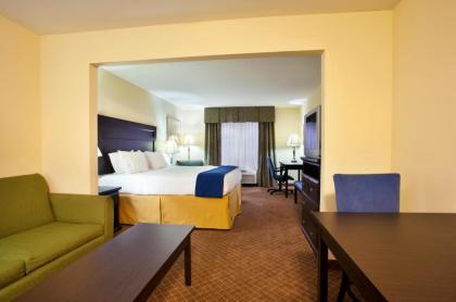 Holiday Inn Express Hotel & Suites Chicago South Lansing an IHG Hotel - image 9