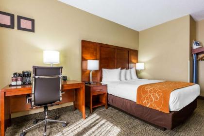 Comfort Suites Lansing - image 6