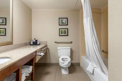 Comfort Inn Lansing - image 11