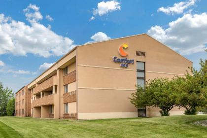 Comfort Inn Lansing - image 4