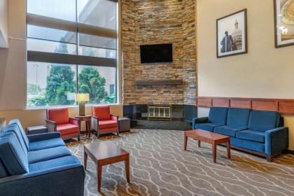 Comfort Inn Lansing - image 6