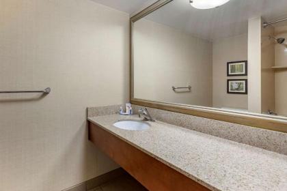 Comfort Inn Lansing - image 7