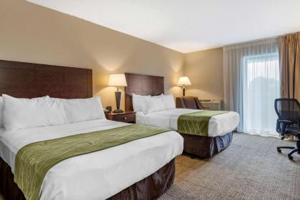 Comfort Inn Lansing - image 8