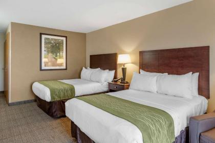 Comfort Inn Lansing - image 9