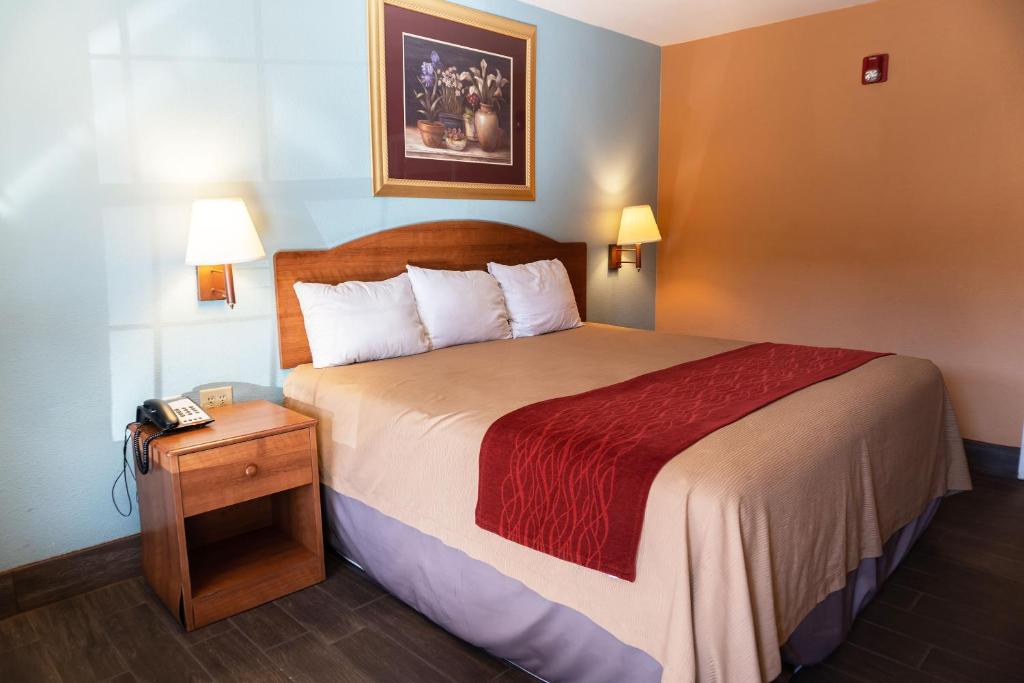 Sky-Palace Inn & Suites Laredo - main image