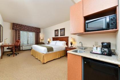 Holiday Inn Express Hotel & Suites Las Cruces an IHG Hotel - image 15