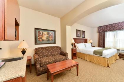 Holiday Inn Express Hotel & Suites Las Cruces an IHG Hotel - image 19