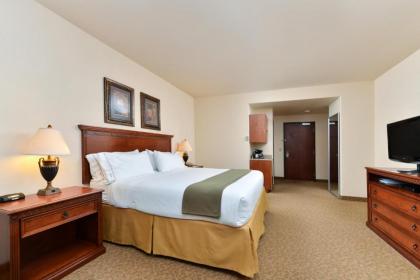 Holiday Inn Express Hotel & Suites Las Cruces an IHG Hotel - image 20