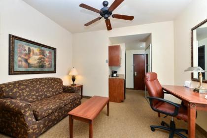 Holiday Inn Express Hotel & Suites Las Cruces an IHG Hotel - image 3