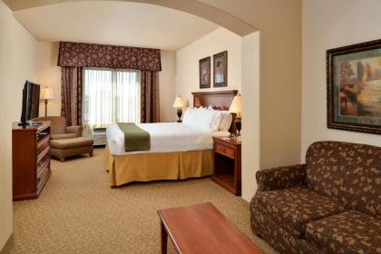 Holiday Inn Express Hotel & Suites Las Cruces an IHG Hotel - image 5