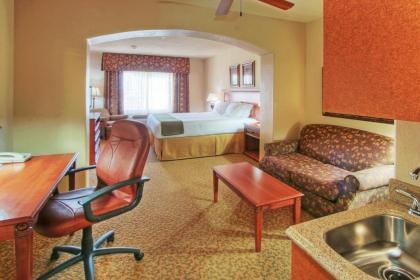 Holiday Inn Express Hotel & Suites Las Cruces an IHG Hotel - image 6