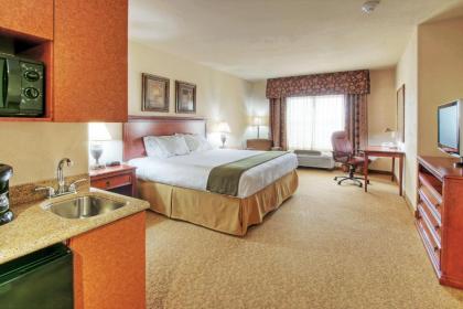 Holiday Inn Express Hotel & Suites Las Cruces an IHG Hotel - image 8