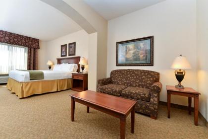 Holiday Inn Express Hotel & Suites Las Cruces an IHG Hotel - image 9