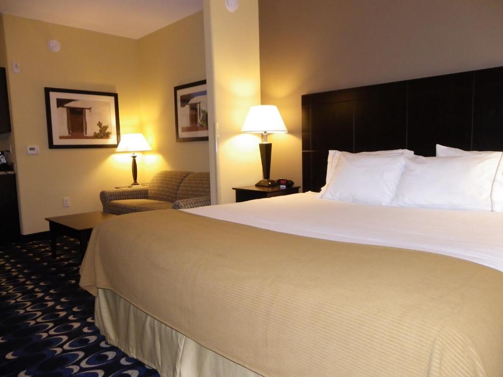 Holiday Inn Express Las Cruces North an IHG Hotel - image 3