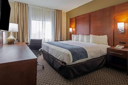 Comfort Suites University Las Cruces - image 14