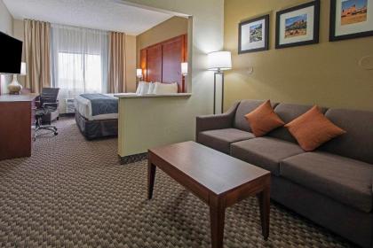 Comfort Suites University Las Cruces - image 15