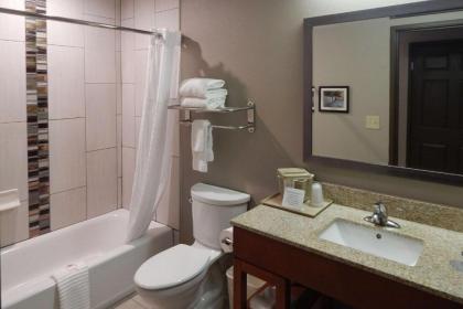 Comfort Inn & Suites Las Cruces Mesilla - image 15