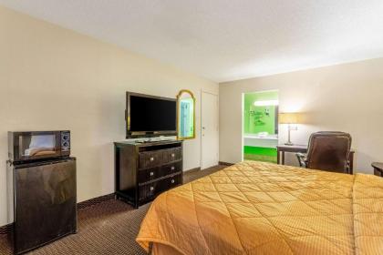 Rodeway Inn & Suites - image 12