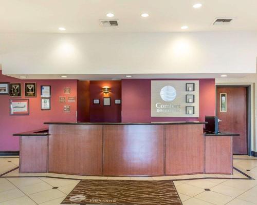 Comfort Inn & Suites Las Vegas - Nellis - image 4