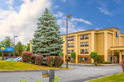 Comfort Inn Latham/Albany North - image 6