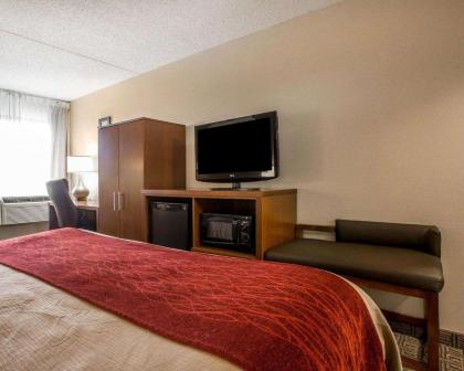 Comfort Inn Latham/Albany North - image 8