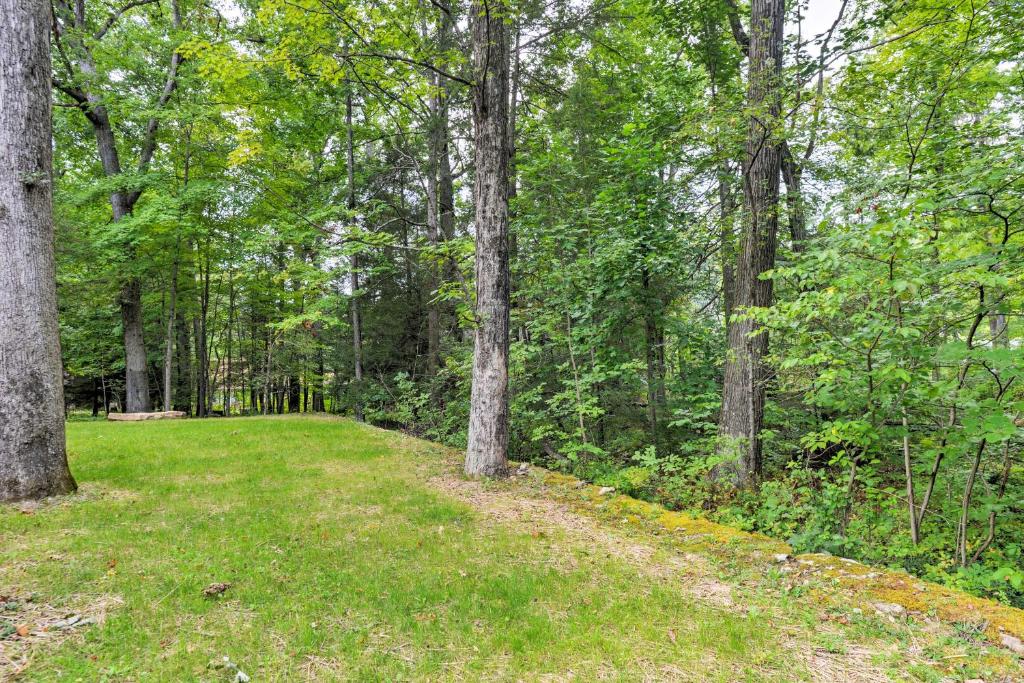 Laughlintown Cabin with Deck Fire Pit and Ski Lift! - image 5