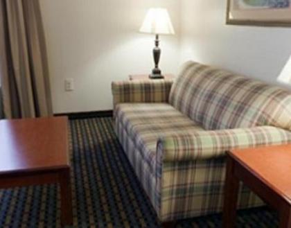 Holiday Inn Express Hotel & Suites Laurinburg an IHG Hotel - image 8