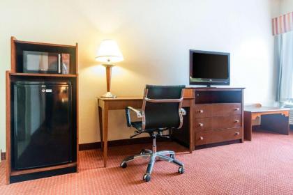 Quality Inn & Suites - image 14