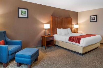 Comfort Inn Lawrenceburg - image 10