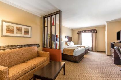 Comfort Suites Lawton Near Fort Sill - image 8