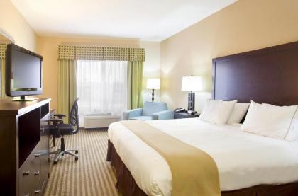 Holiday Inn Express Le Roy an IHG Hotel - image 4