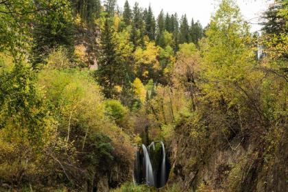 Spearfish Canyon Lodge - image 8