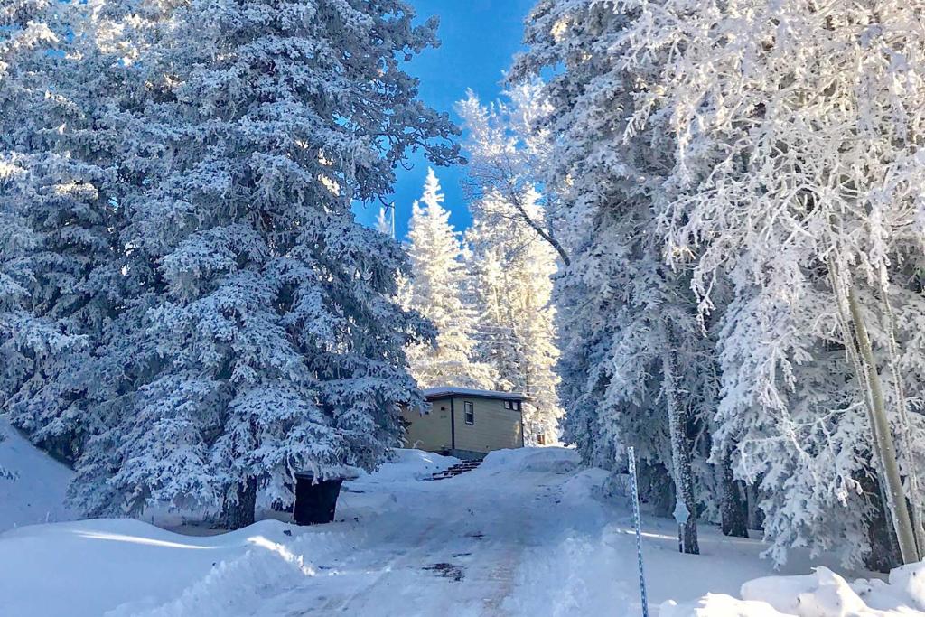 Scenic Lead Cabin Steps to Terry Peak Ski Area! - image 3