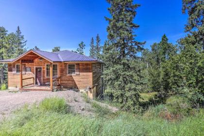 Cabin with Deck and Hot Tub Half Mile to Terry Peak! - image 11