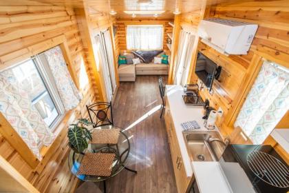 Tiny House Leadville Colorado - image 12