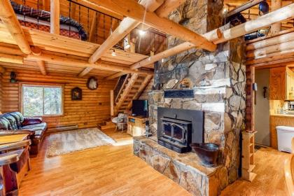 Leavenworth Cozy Cabin - image 5