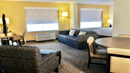 Holiday Inn Hotel & Suites Overland Park-Convention Center an IHG Hotel - image 17