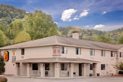 Super 8 by Wyndham Lebanon Virginia