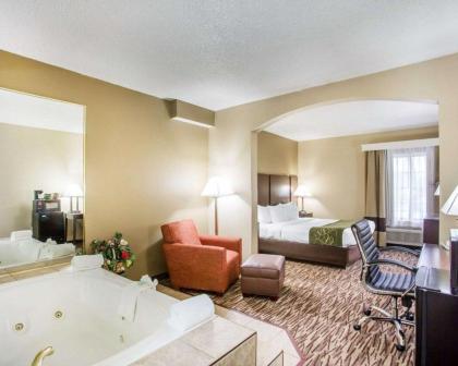 Comfort Suites Lebanon - image 12