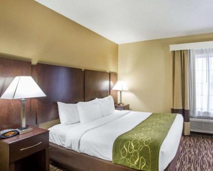 Comfort Suites Lebanon - image 13