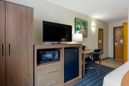 Quality Inn - image 11