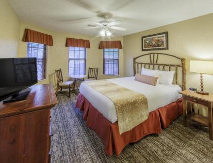 Experience Leisure - Resort Condos in the Berkshire Hills - image 12