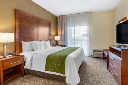 Comfort Suites Leesburg - image 10