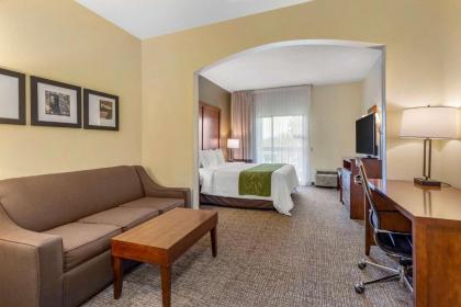 Comfort Suites Leesburg - image 12