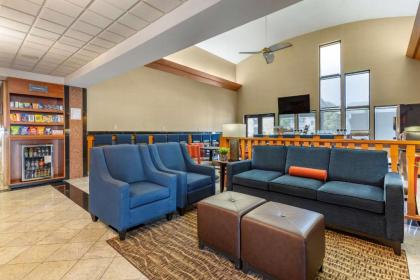 Comfort Suites Leesburg - image 14